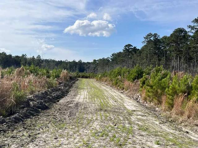 $875,000 | Easler Highway, Greeleyville, SC 29056