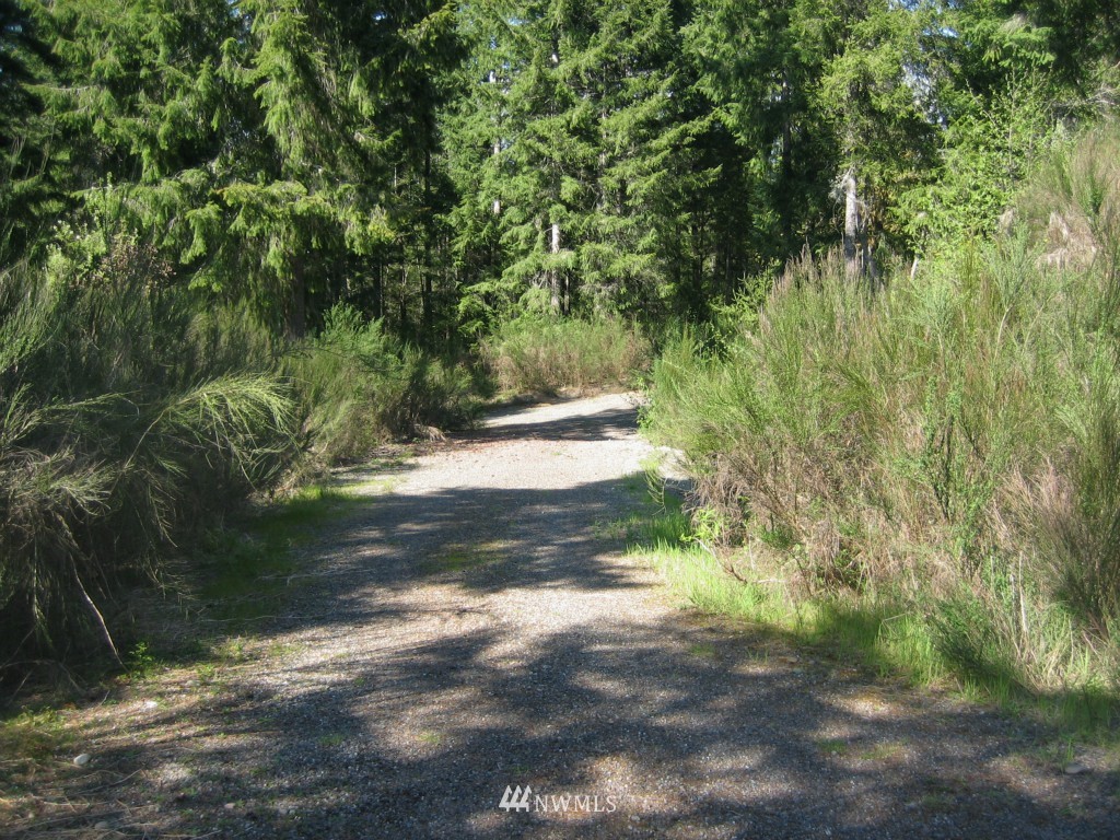 0 12 Lots Off Centerline Road Grapeview, WA 98546 - Photo 2 of 9 Gallery Image 2