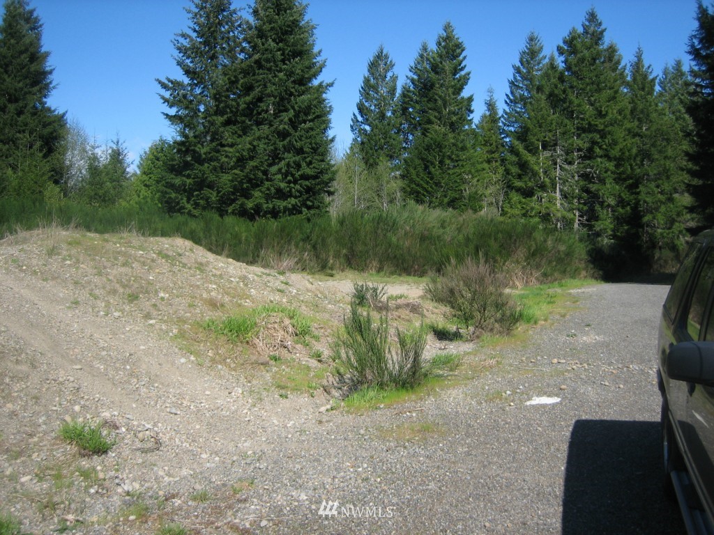0 12 Lots Off Centerline Road Grapeview, WA 98546 - Photo 3 of 9 Gallery Image 3