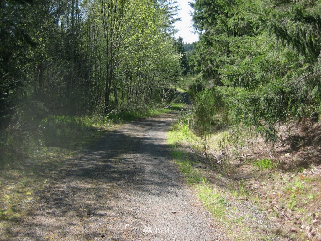 0 12 Lots Off Centerline Road Grapeview, WA 98546 - Photo 4 of 9 Gallery Image 4