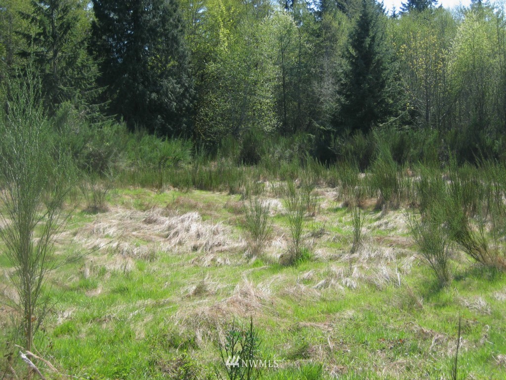 0 12 Lots Off Centerline Road Grapeview, WA 98546 - Photo 8 of 9 Gallery Image 8