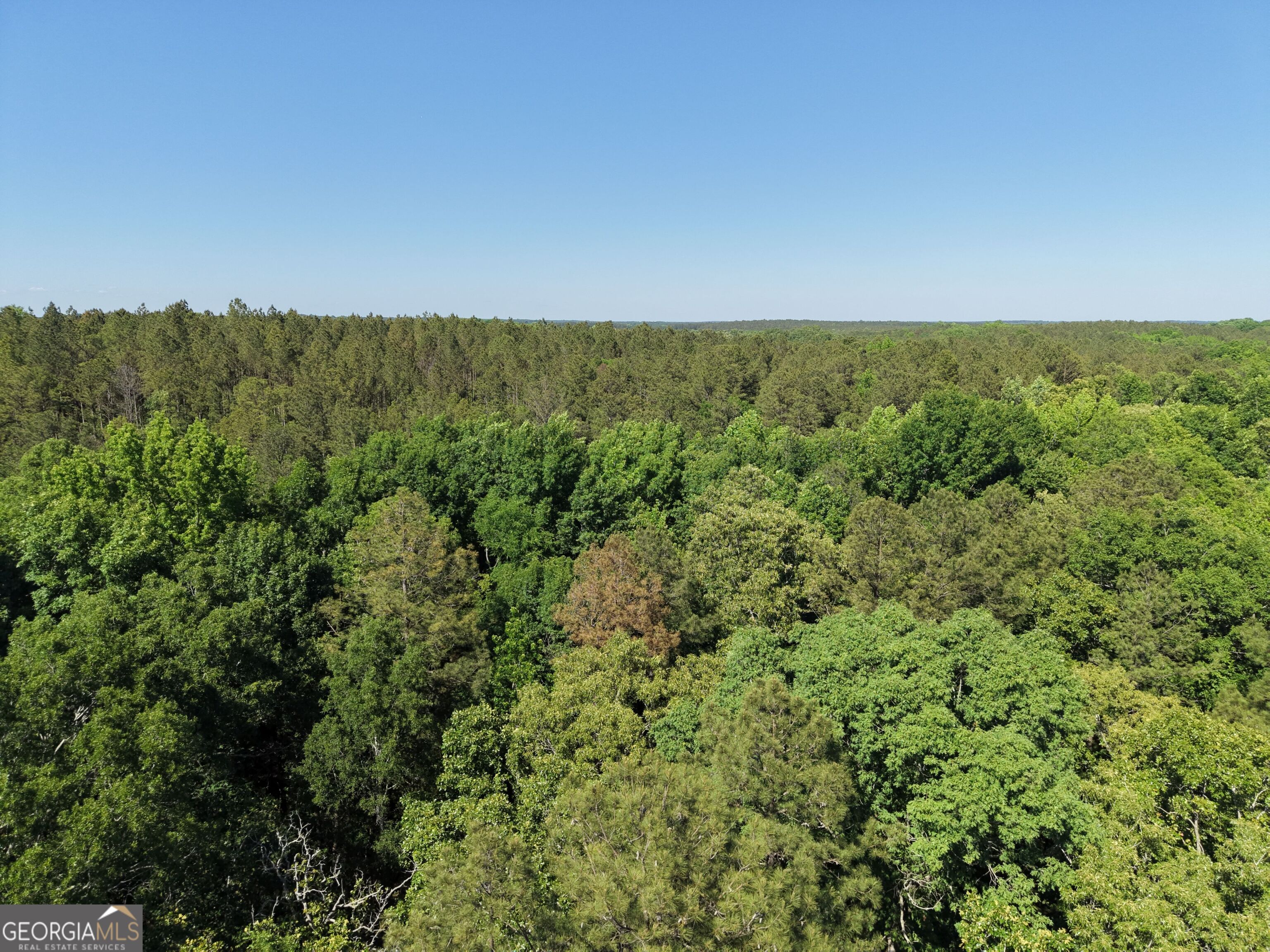 580 Saggus Road Washington, GA 30673 - Photo 16 of 54