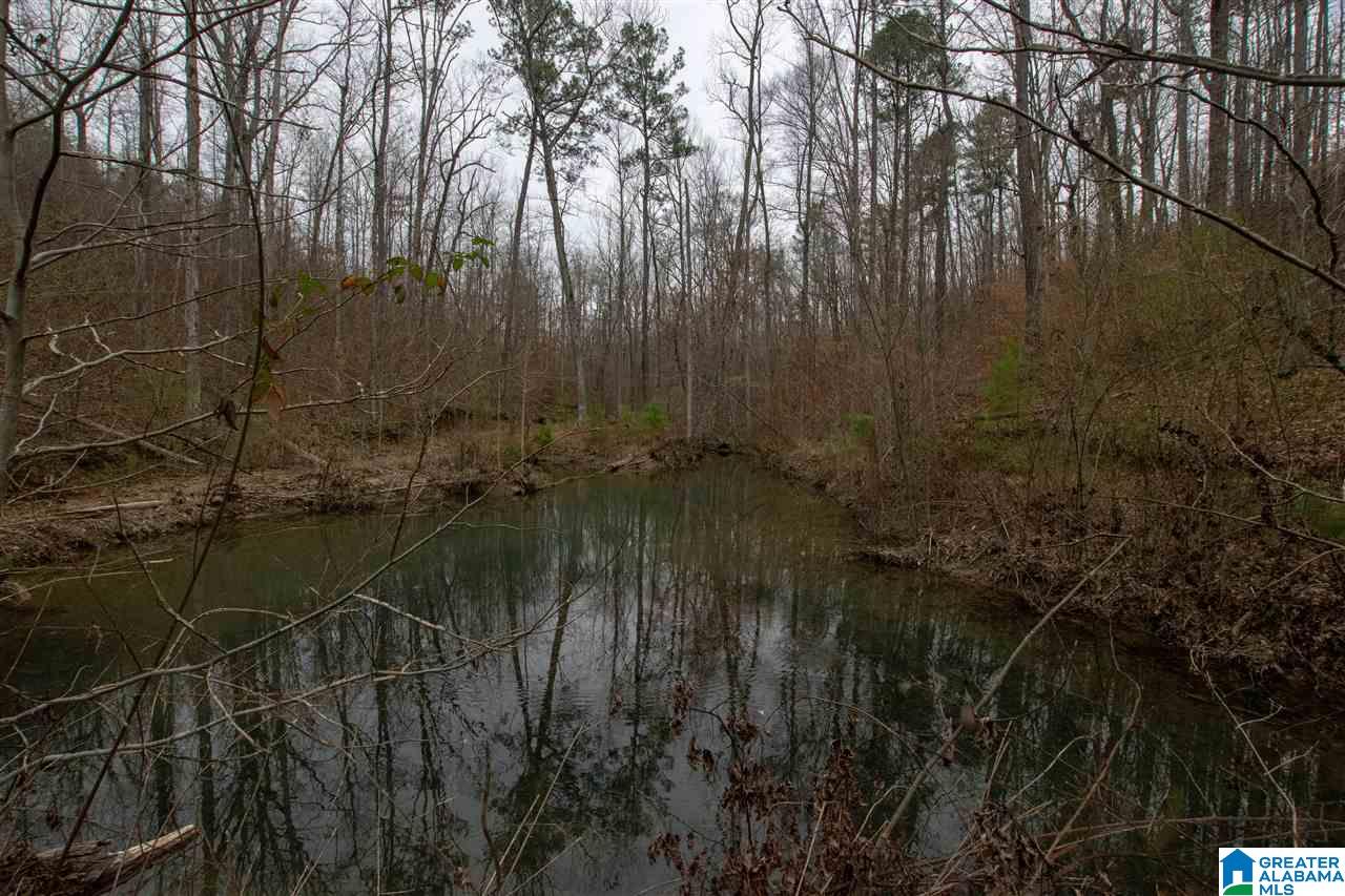 1055 Ranger Trail Warrior, AL 35180 - Photo 20 of 32
