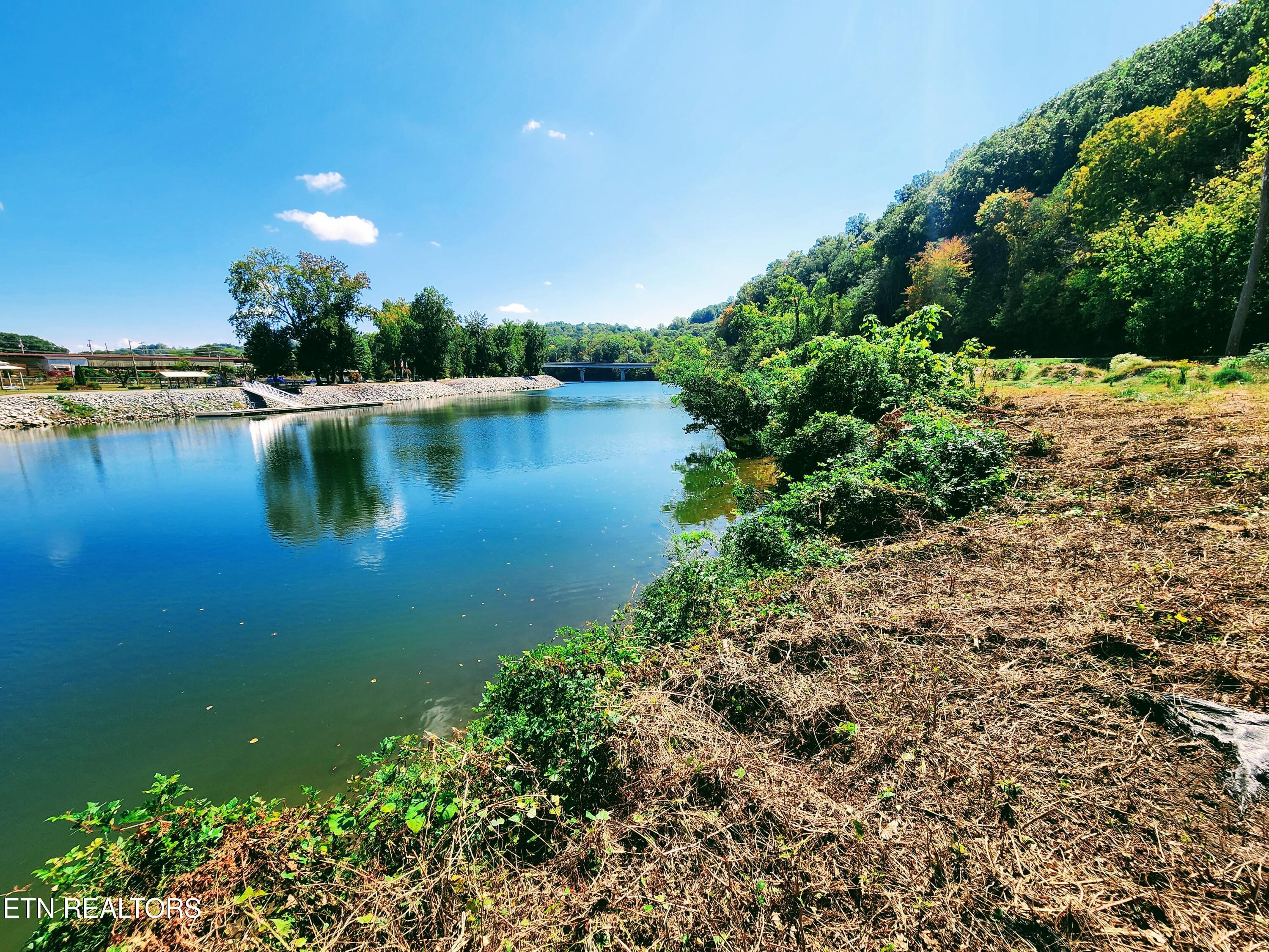 115-107 Riggs Chapel Road Harriman, TN 37748 - Photo 3 of 57 Waterfront