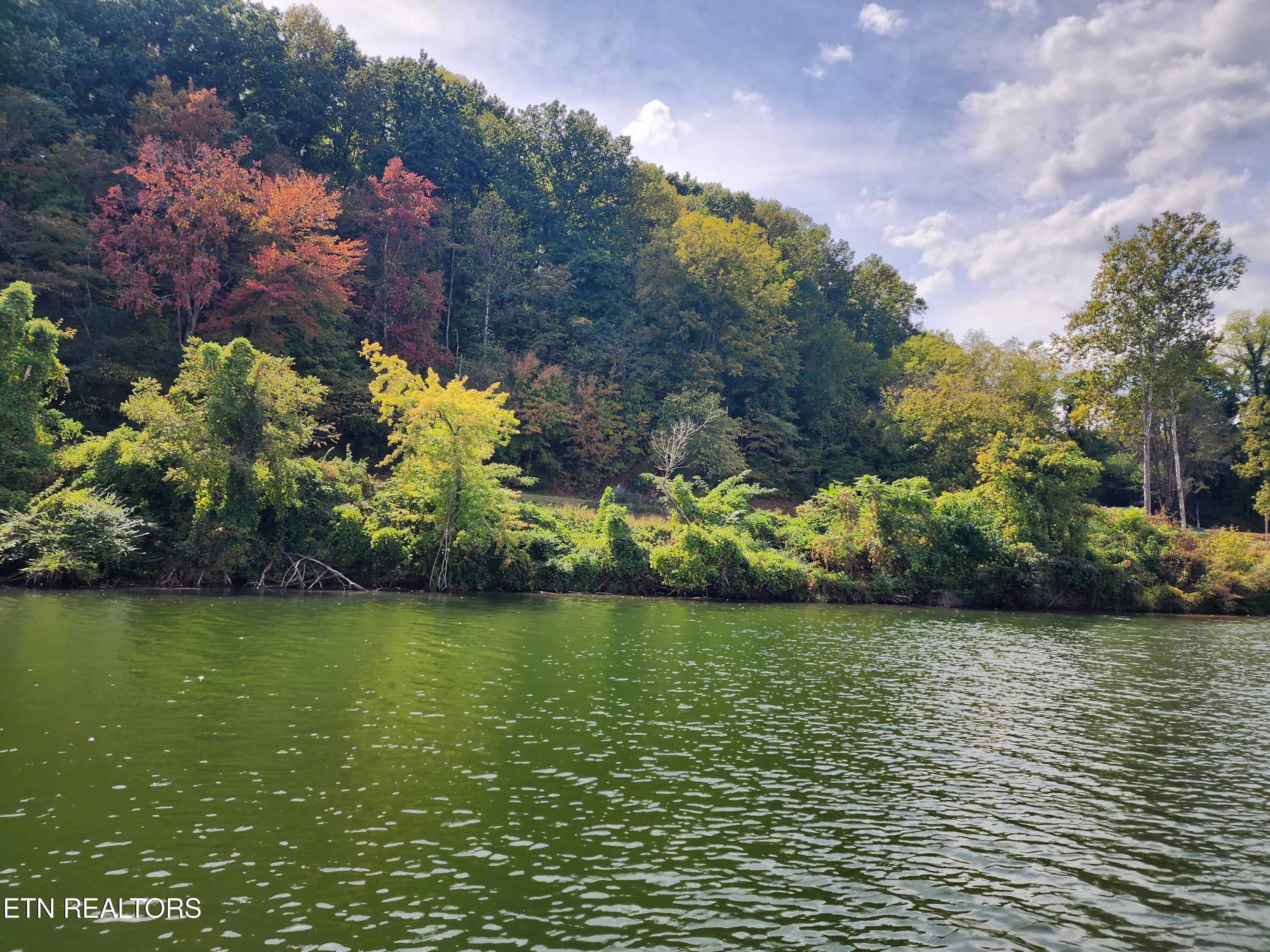 115-107 Riggs Chapel Road Harriman, TN 37748 - Photo 6 of 57 20240921_143207