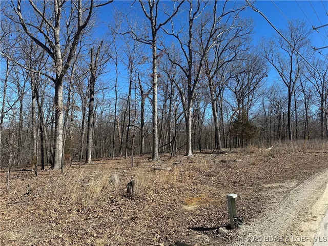 $8,000 | Lot 1047 Bittersweet Road, Four Seasons, MO 65049