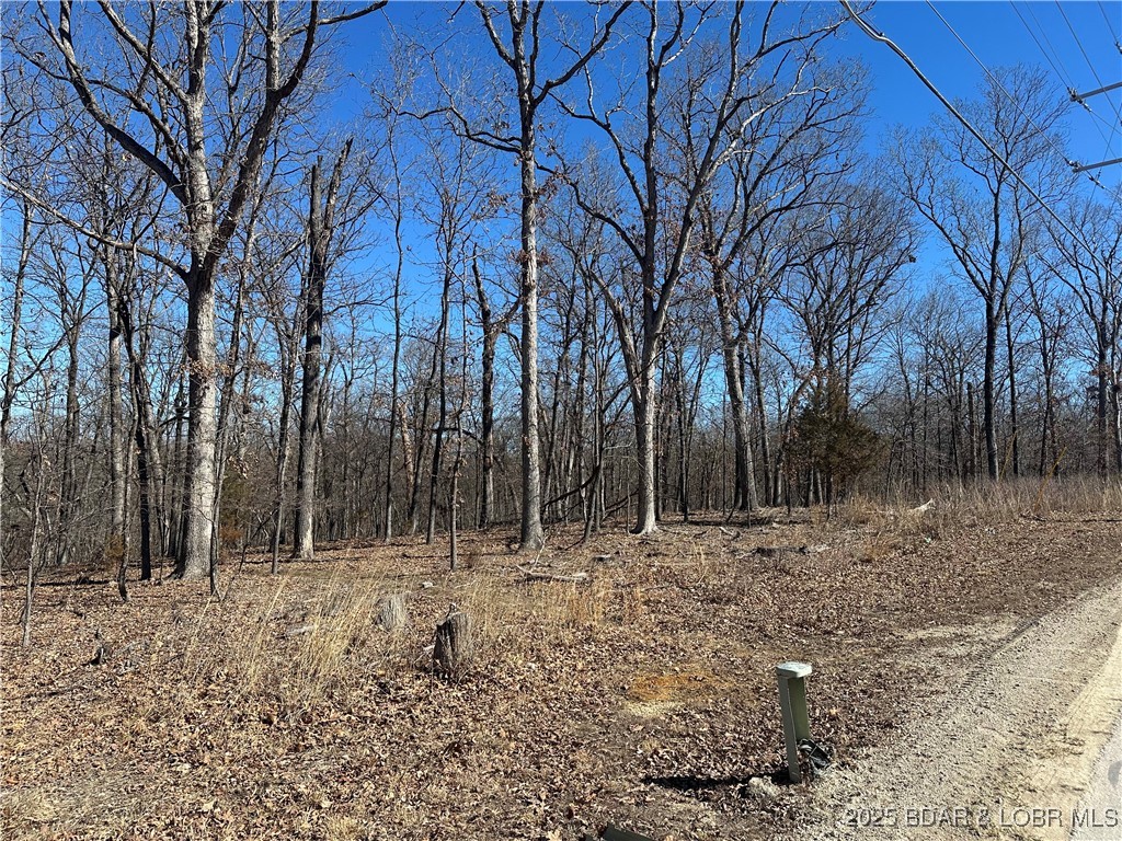 Lot 1047 Bittersweet Road Four Seasons, MO 65049 - Photo 2 of 16 Nice flat lot of Bittersweet