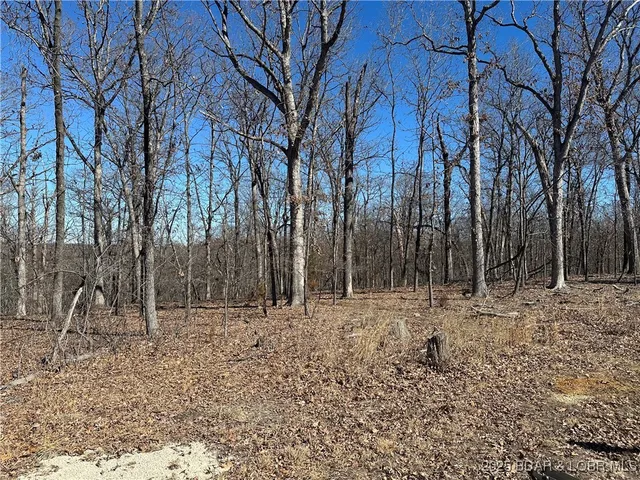 $8,000 | Lot 1047 Bittersweet Road, Four Seasons, MO 65049