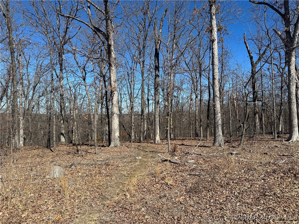 Lot 1047 Bittersweet Road Four Seasons, MO 65049 - Photo 5 of 16