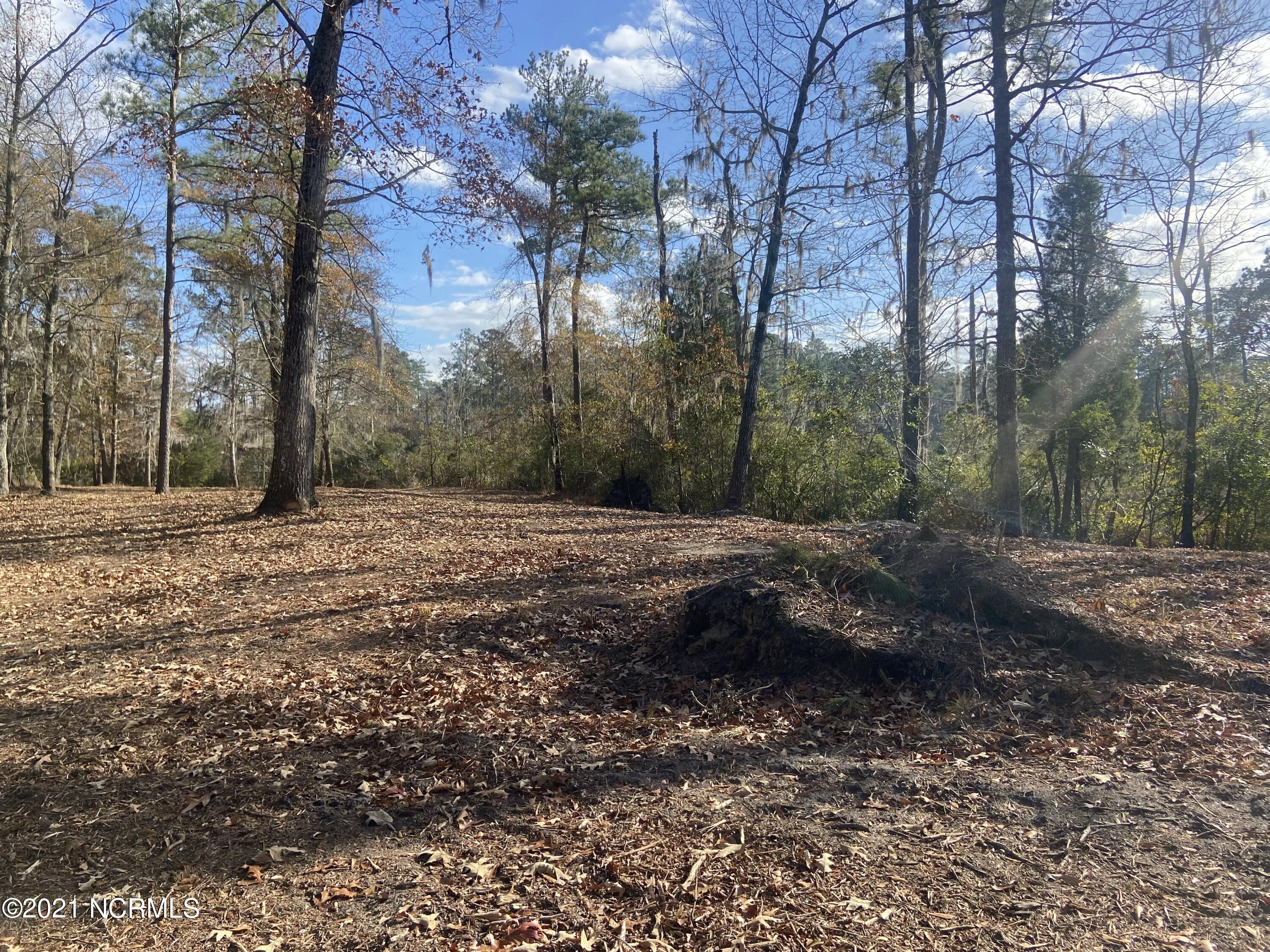 Lot 22 Bay Point Road Chocowinity, NC 27817 - Photo 3 of 7 B235A729-78AF-4A11-905C-BDB0945338AC