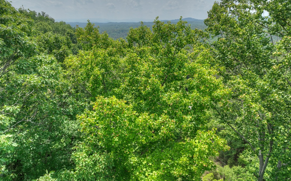 356 Locust Gap Road Mineral Bluff, GA 30559 - Photo 31 of 57 Additional View