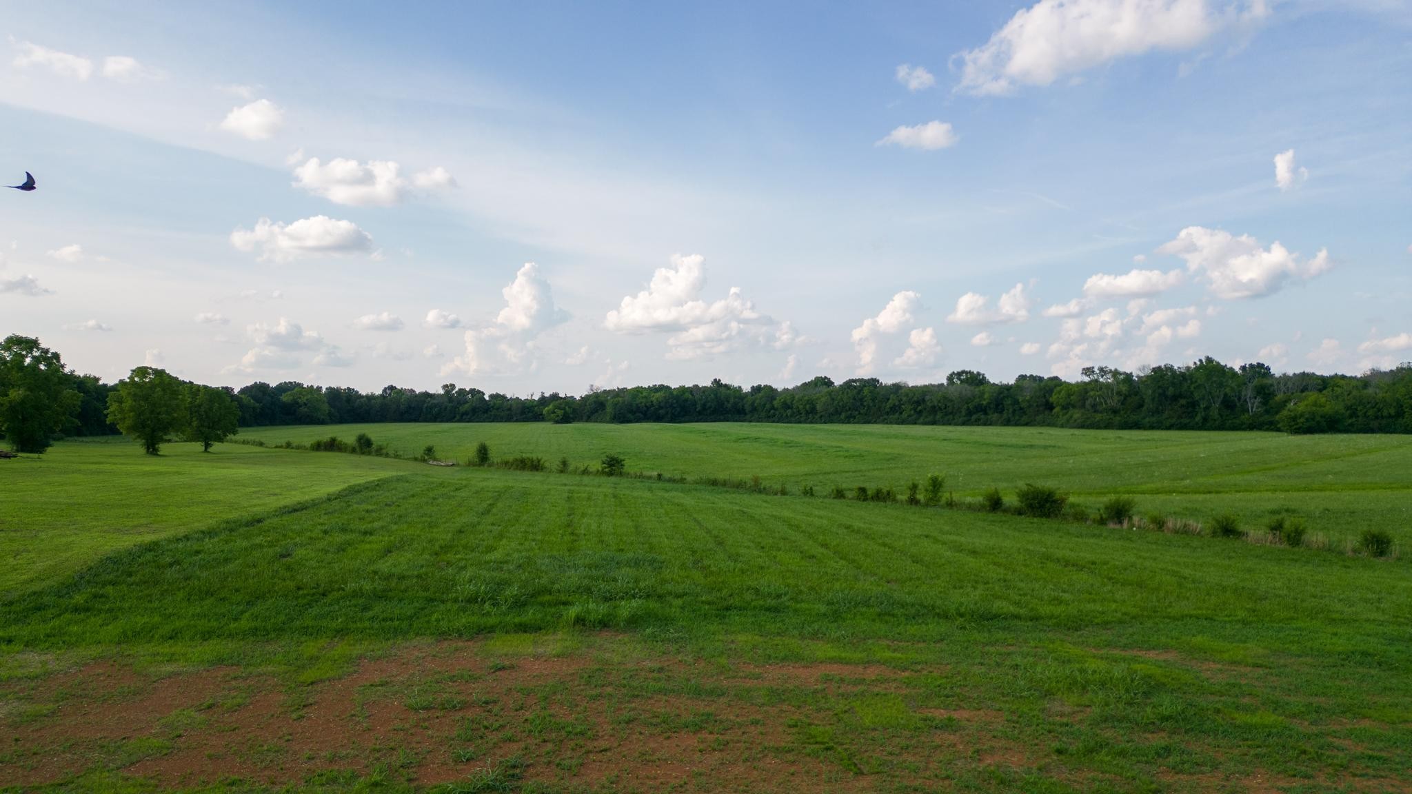 2416 Dilton Mankin Road Murfreesboro, TN 37127 - Photo 34 of 36 a view of a golf course with a lake