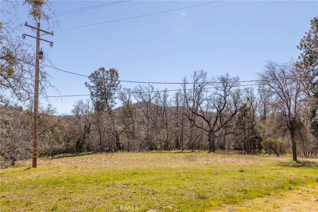 50174 Bissett Station Road Oakhurst, CA 93644 - Photo 56 of 75 a view of a yard with an empty space
