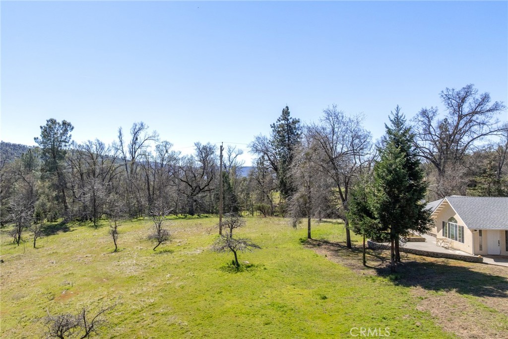 50174 Bissett Station Road Oakhurst, CA 93644 - Photo 69 of 75 a view of a yard with a slide