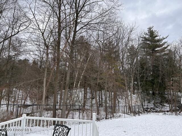 1036 Hickory Road Niskayuna, NY 12309 - Photo 36 of 36 IMG_6946