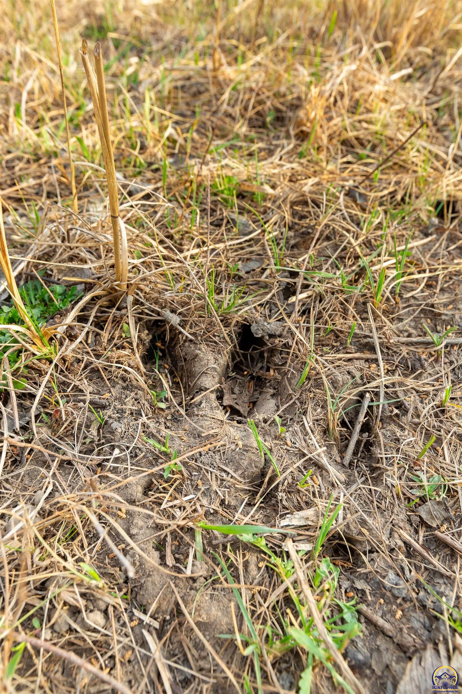 12855 Y Road Meriden, KS 66512 - Photo 83 of 99