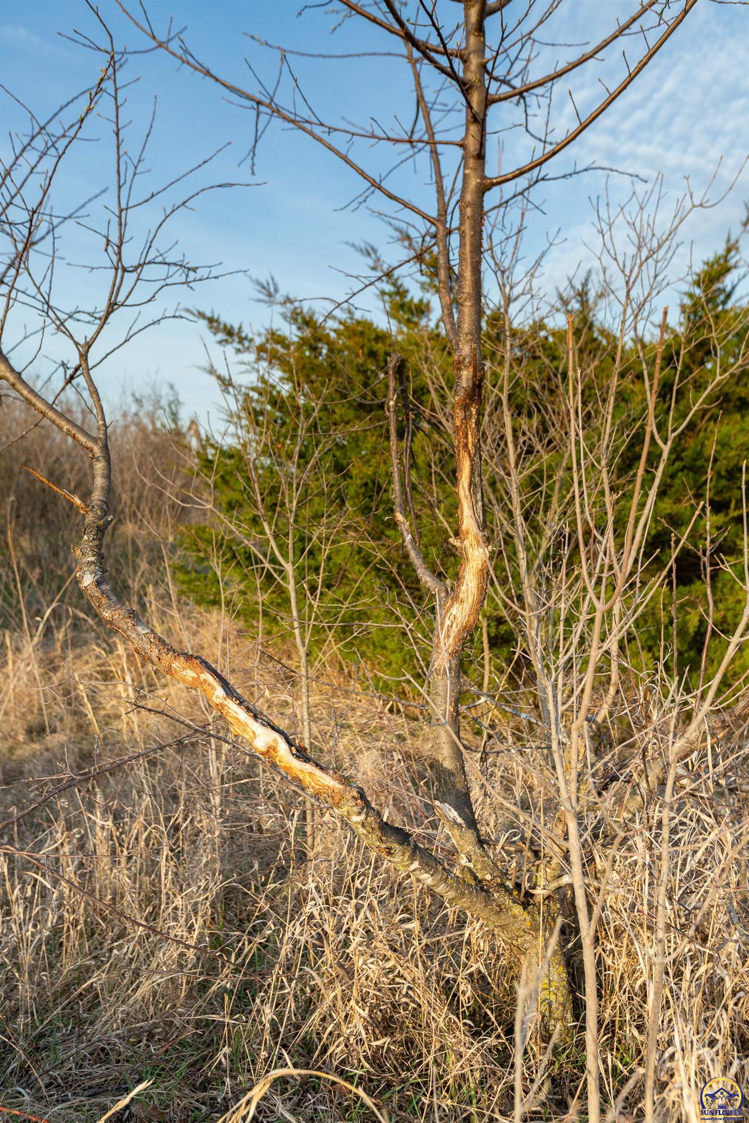 12855 Y Road Meriden, KS 66512 - Photo 88 of 99