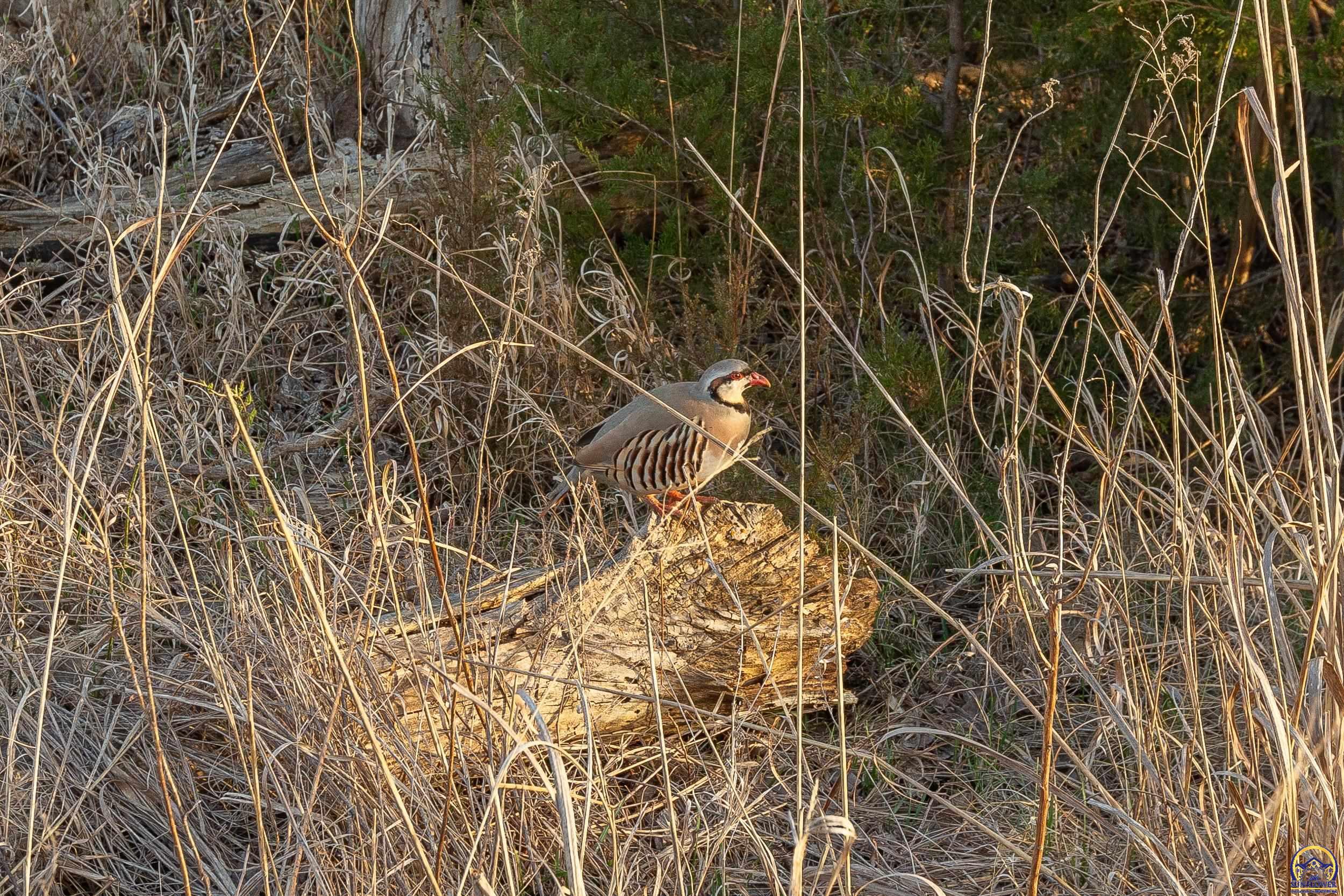 12855 Y Road Meriden, KS 66512 - Photo 95 of 99