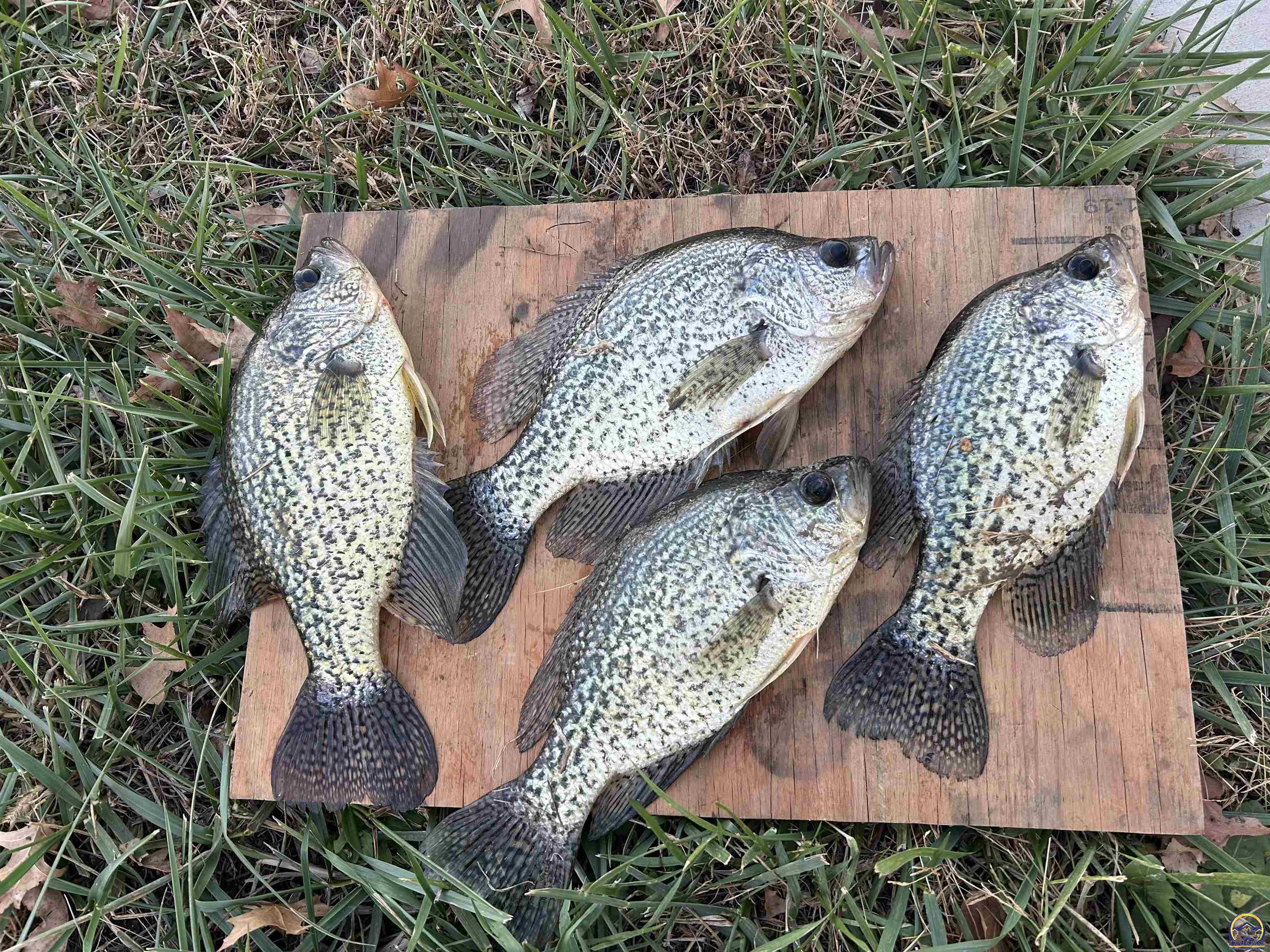 12855 Y Road Meriden, KS 66512 - Photo 99 of 99