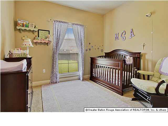 10163 Springvalley Avenue Baton Rouge, LA 70810 - Photo 8 of 11 Gallery Image 8