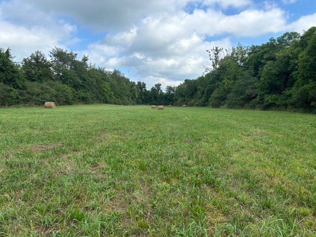 3050 Tarpley Shop Road Pulaski, TN 38478 - Photo 25 of 28 a view of field with trees in the background