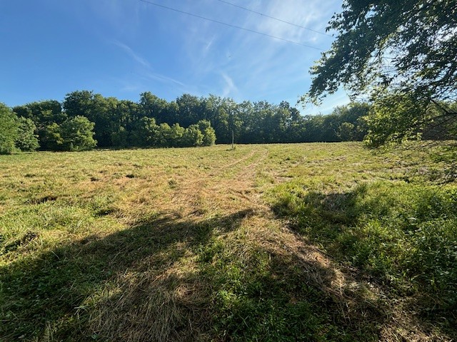 3050 Tarpley Shop Road Pulaski, TN 38478 - Photo 3 of 28 a view of a large yard with lots of green space