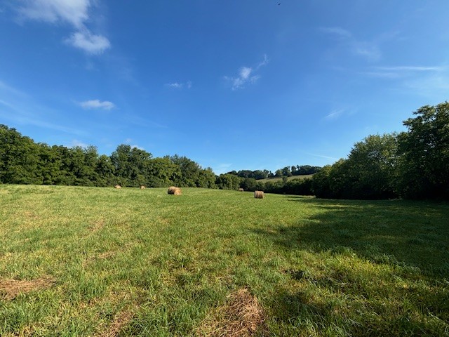 3050 Tarpley Shop Road Pulaski, TN 38478 - Photo 8 of 28 a view of a field with an ocean