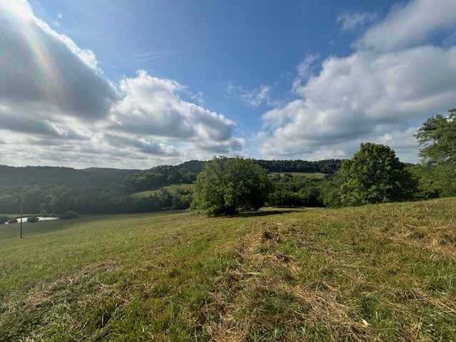 3050 Tarpley Shop Road Pulaski, TN 38478 - Photo 10 of 28 a view of a field with an ocean