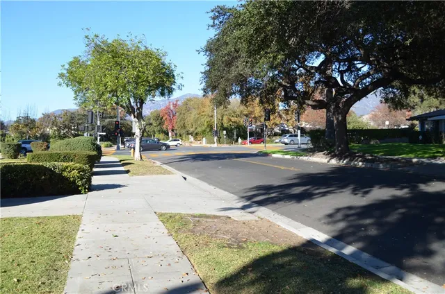 a street view with large trees