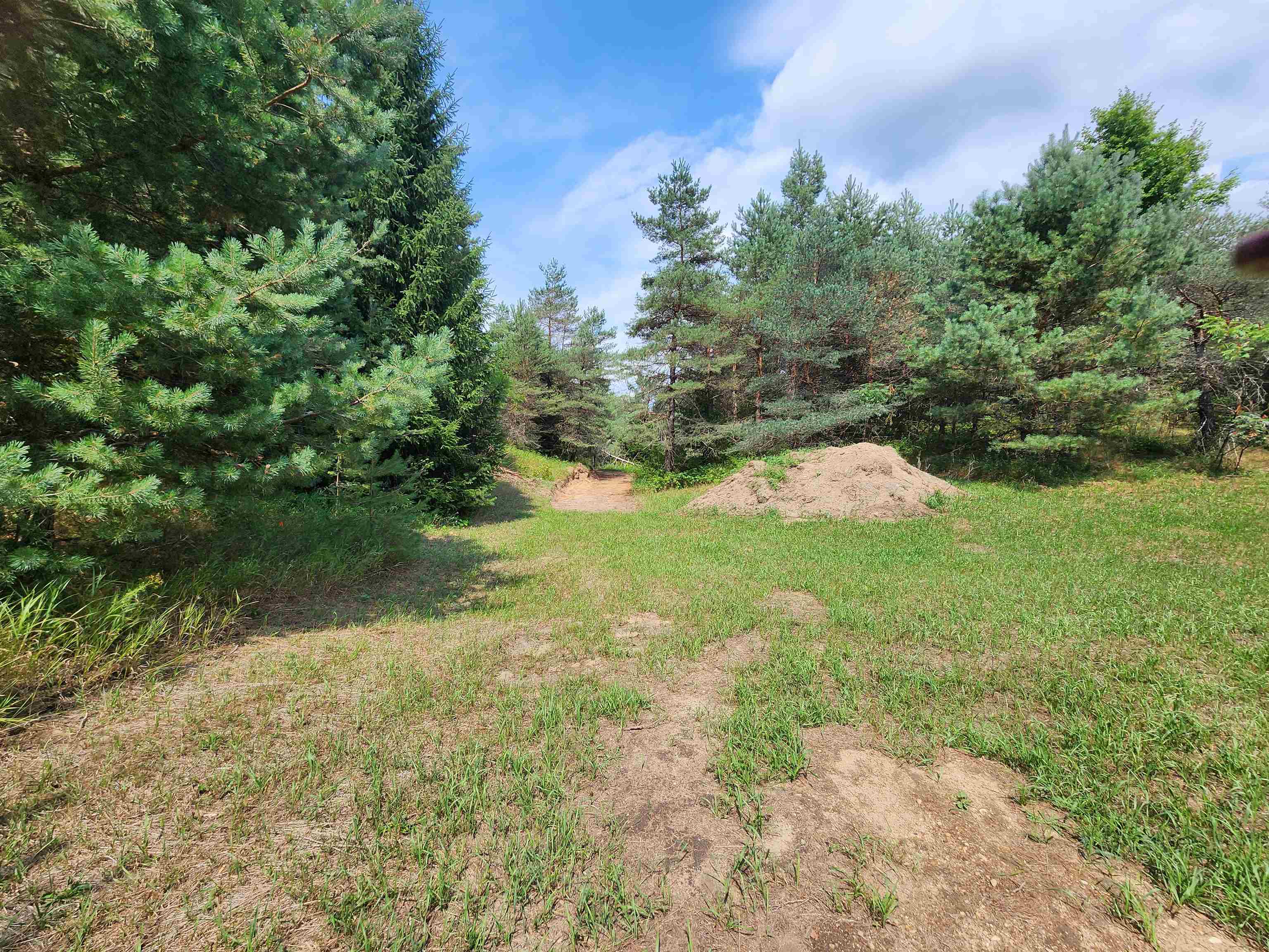 Parcel A East 18 1/2 Road Manton, MI 49663 - Photo 9 of 42 Gallery Image 9
