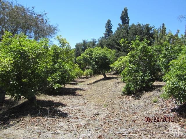 Vientos Road Camarillo, CA 93010 - Photo 13 of 15 Additional Photo
