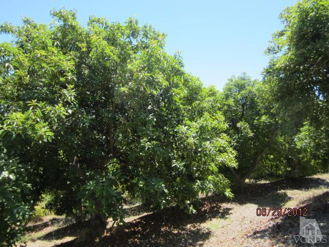 Vientos Road Camarillo, CA 93010 - Photo 5 of 15 Additional Photo