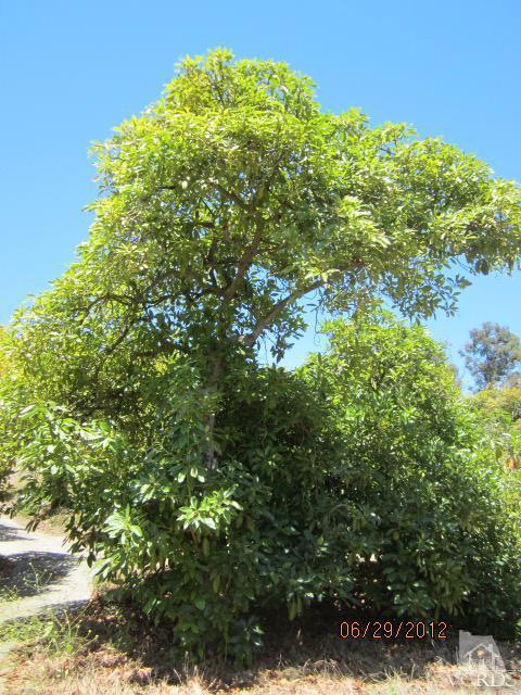 Vientos Road Camarillo, CA 93010 - Photo 8 of 15 Additional Photo