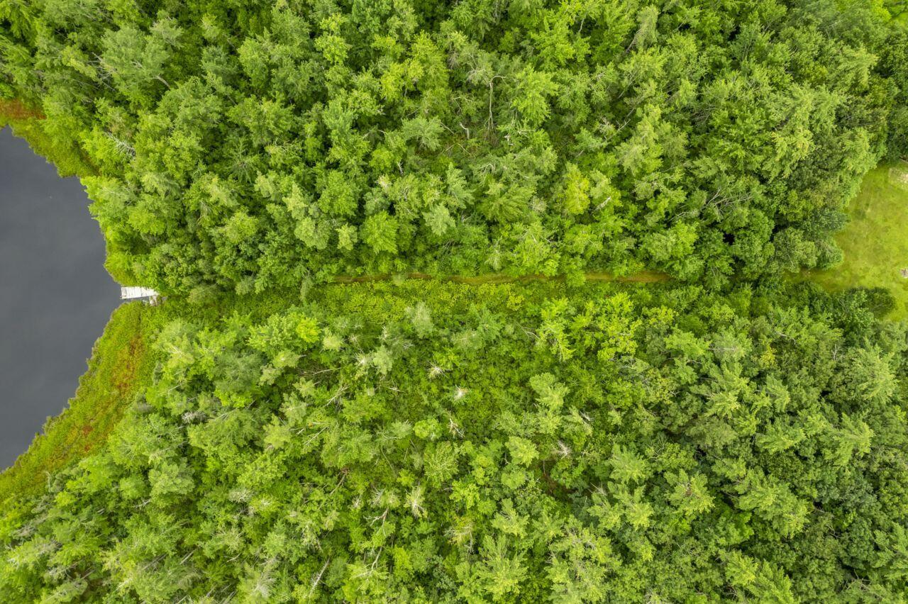 136 Belle Marsh Road South Berwick, ME 03908 - Photo 28 of 61 136%20Belle%20Marsh%20Rd_127