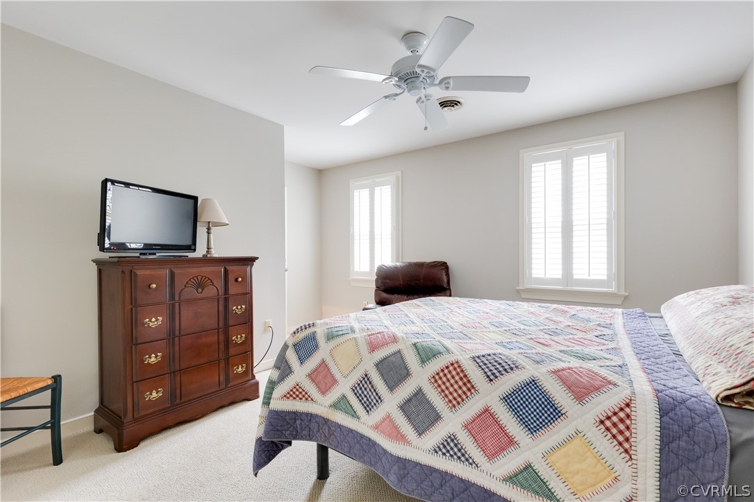 2221 Castlebridge Road Midlothian, VA 23113 - Photo 24 of 37 This guest bedroom has access to the finished walk