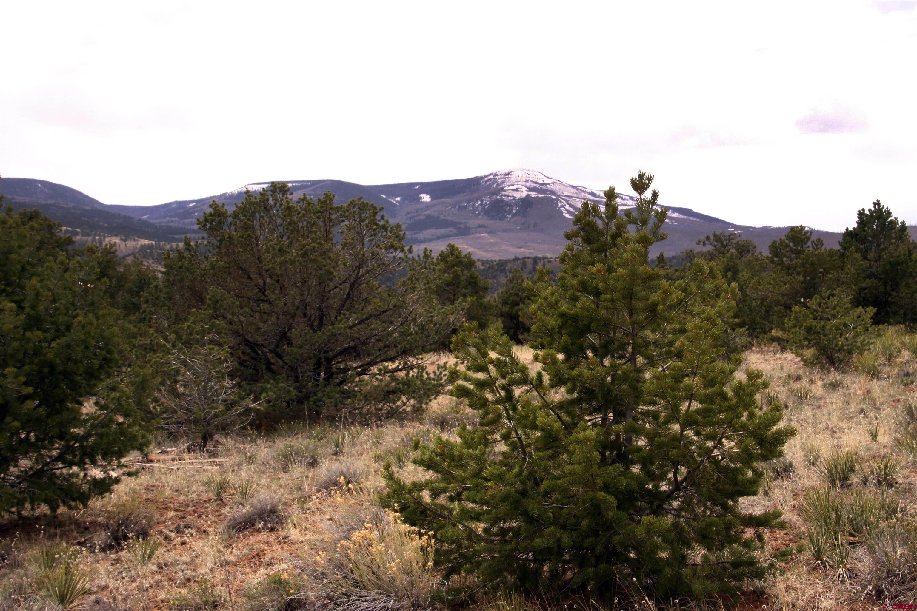 877 Vail Pass Road South Fork, CO 81154 - Photo 11 of 25 a view of a dry yard