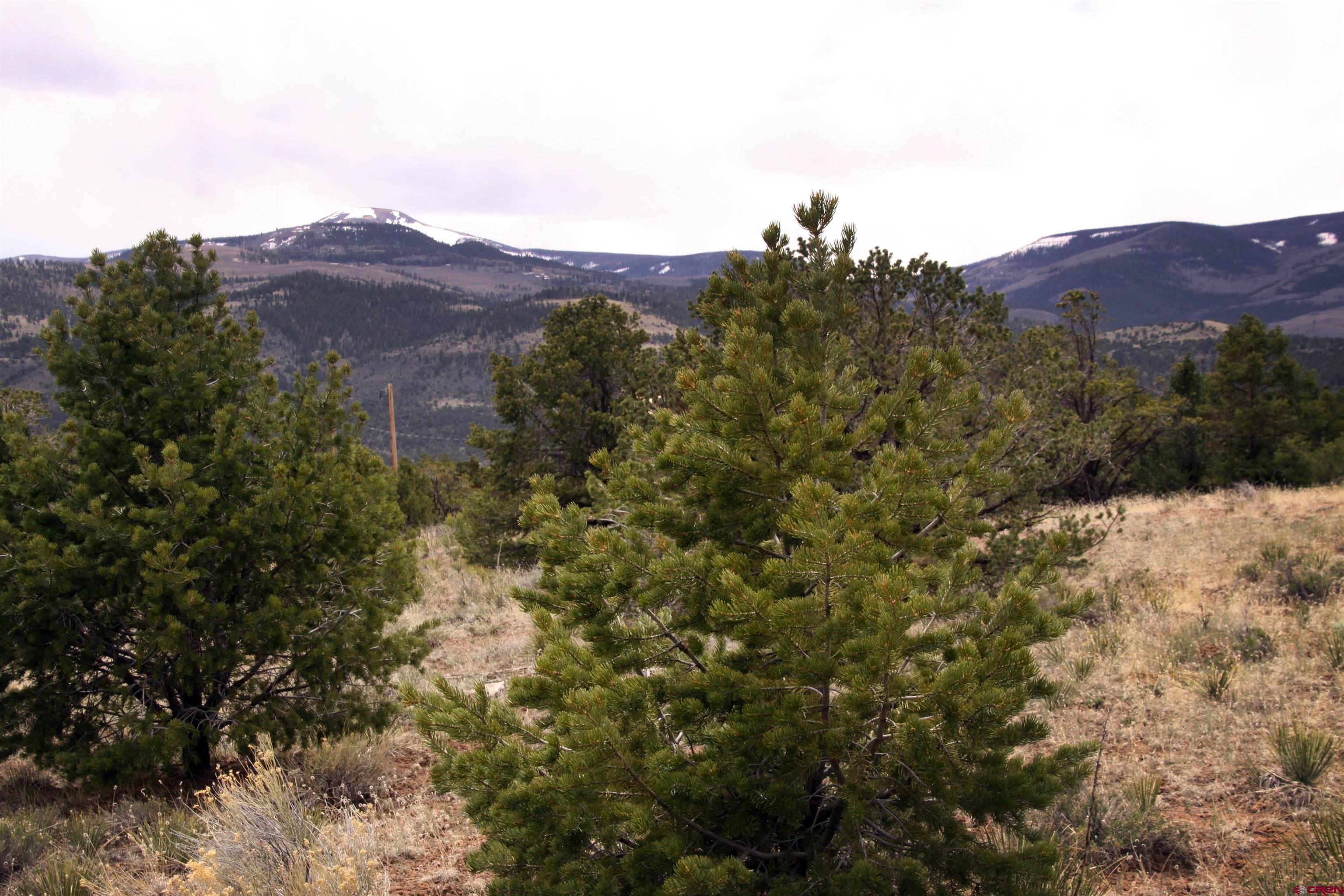 877 Vail Pass Road South Fork, CO 81154 - Photo 13 of 25 a view of a large tree with a mountain in the background