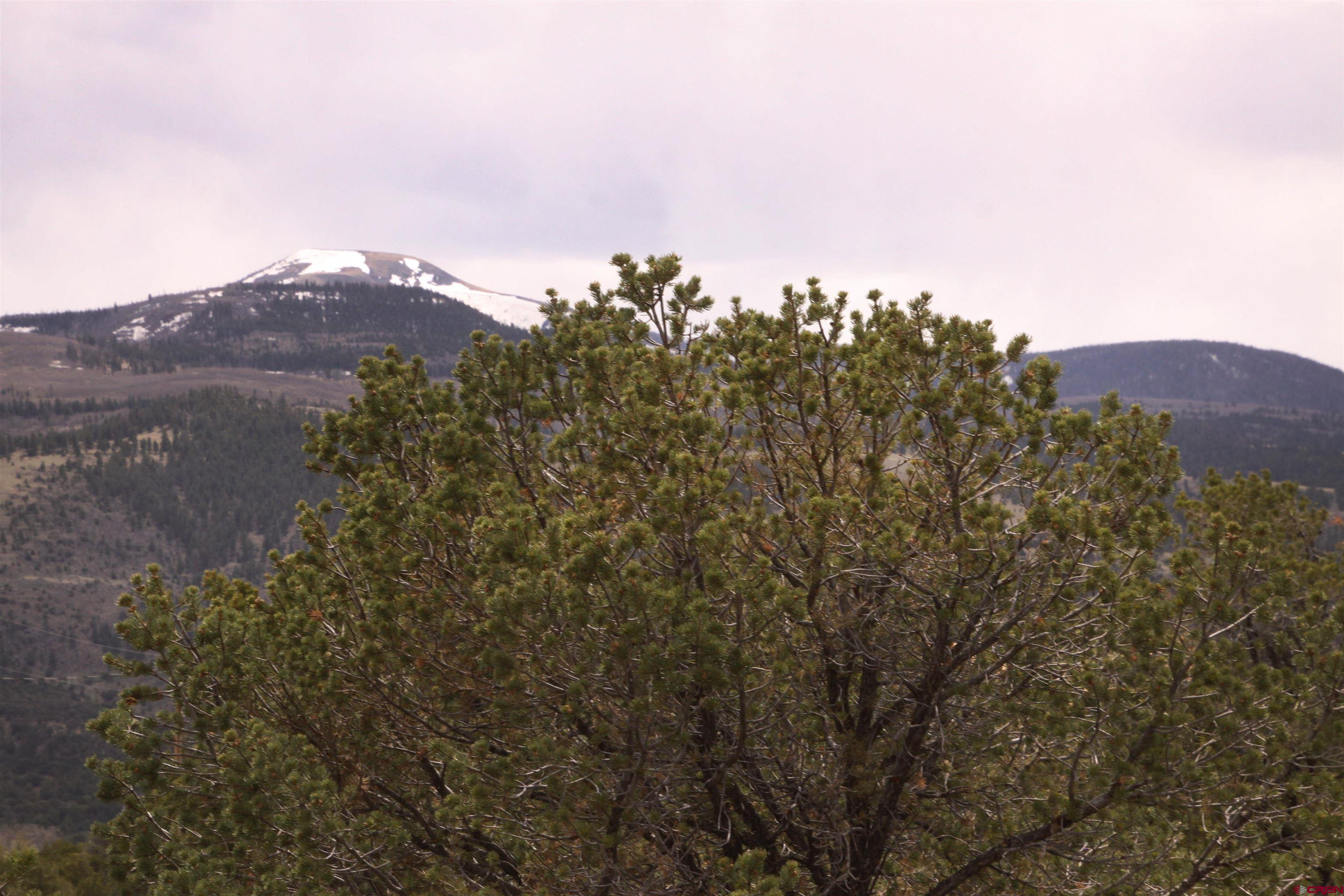 877 Vail Pass Road South Fork, CO 81154 - Photo 14 of 25 a view of a city with lush green forest