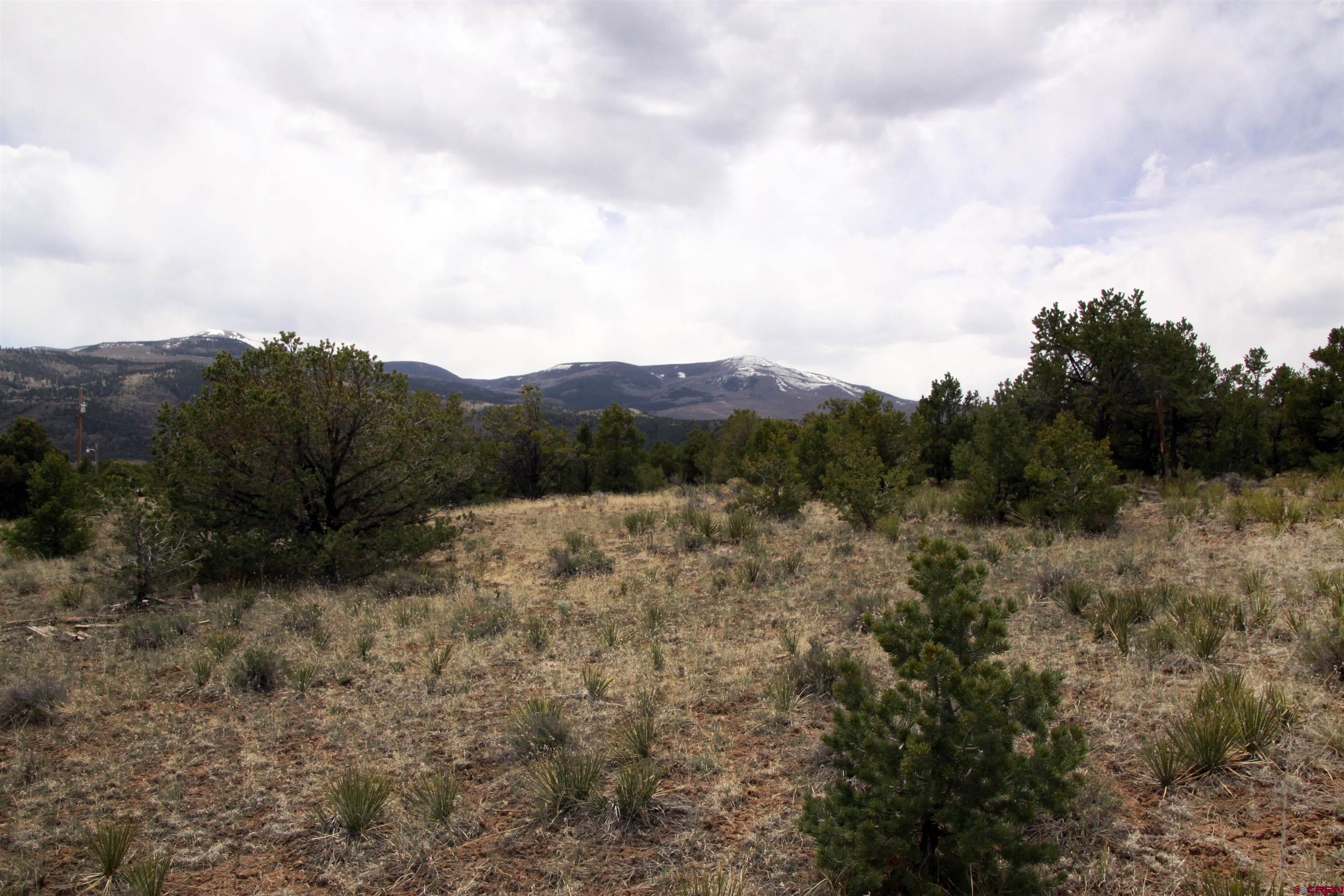 877 Vail Pass Road South Fork, CO 81154 - Photo 16 of 25 a view of a dry field covered with fog
