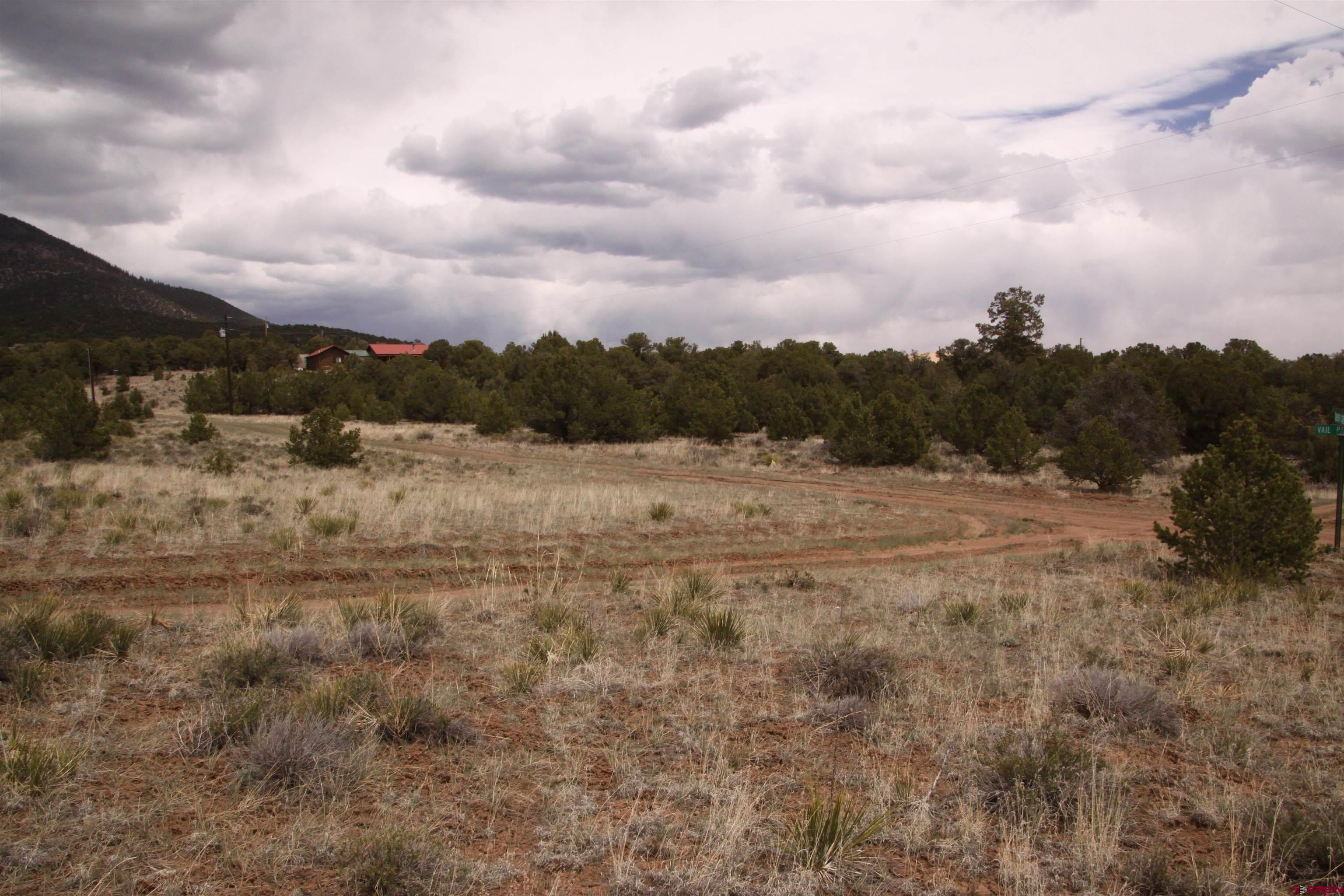 877 Vail Pass Road South Fork, CO 81154 - Photo 20 of 25 a view of mountain with lake view