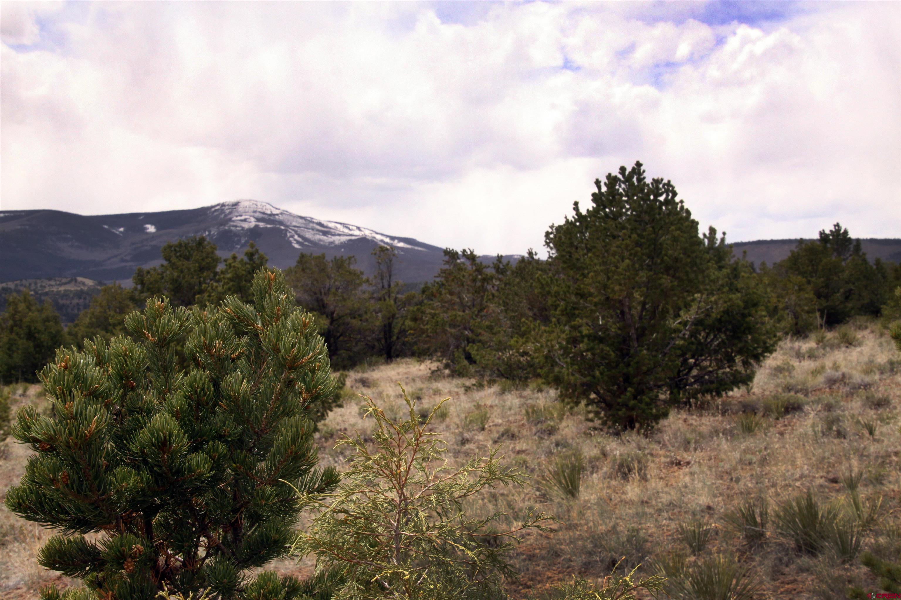 877 Vail Pass Road South Fork, CO 81154 - Photo 23 of 25 a view of a dry yard with mountains and valleys