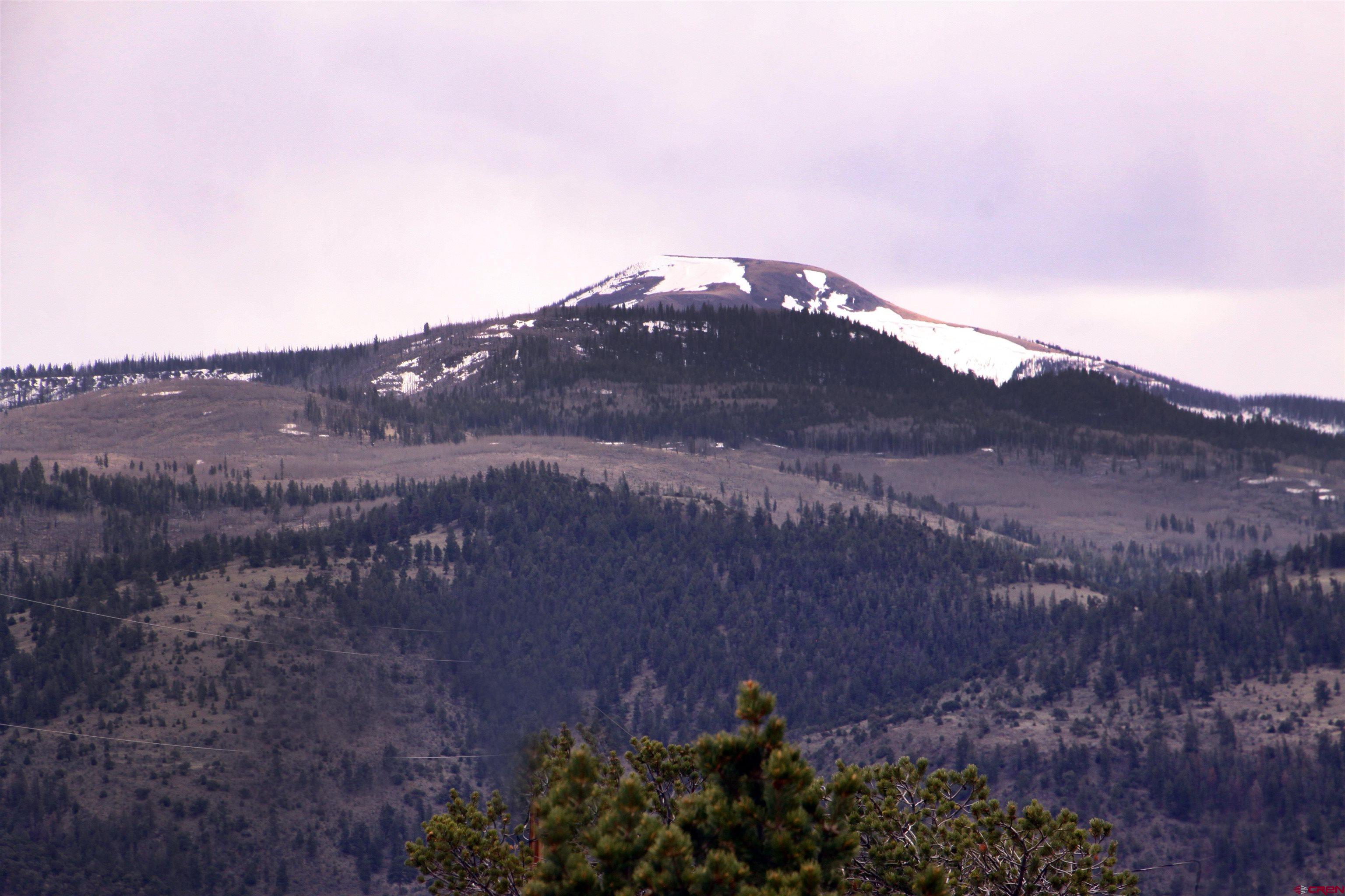 877 Vail Pass Road South Fork, CO 81154 - Photo 3 of 25 a view of a dry yard with mountains in the background