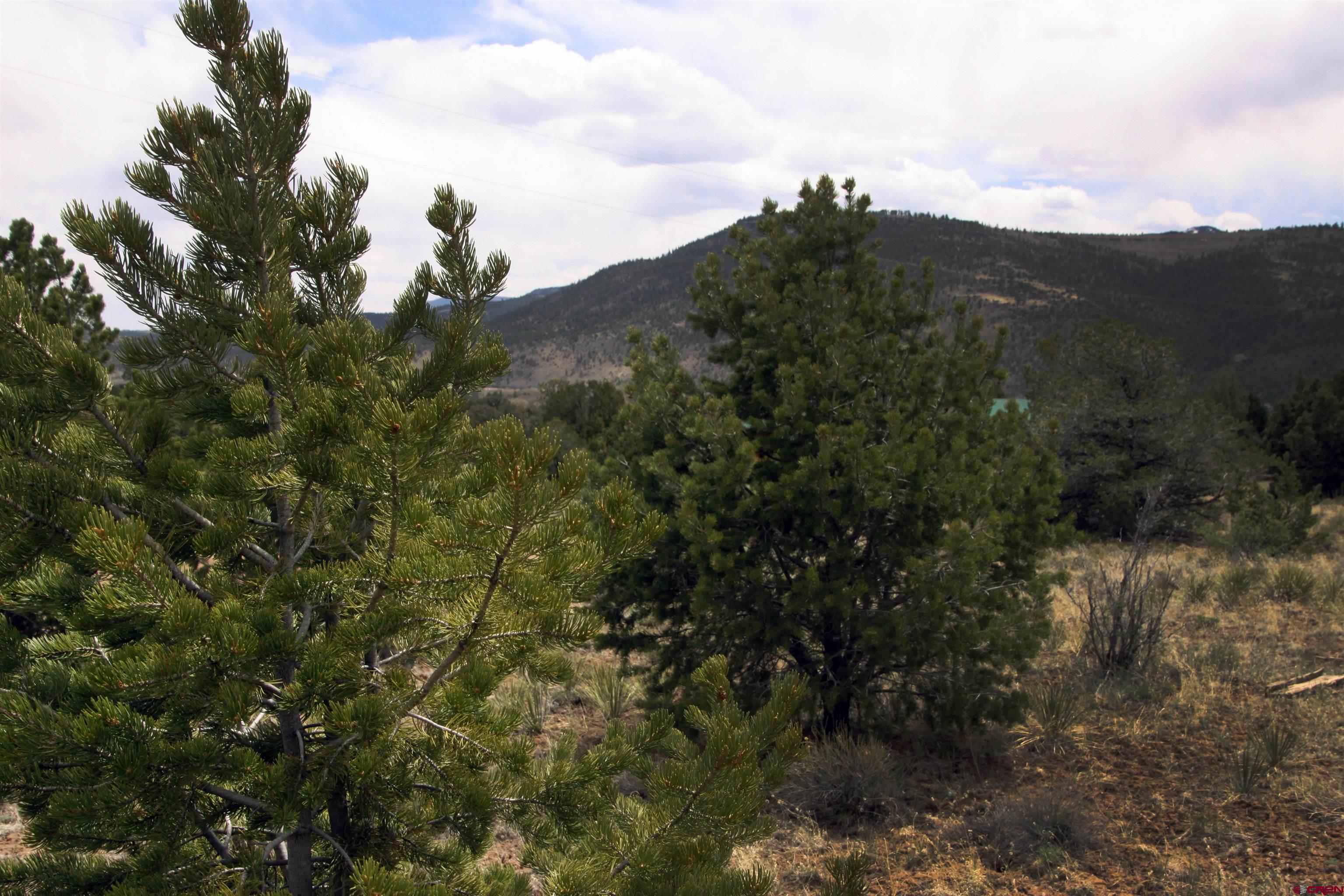 877 Vail Pass Road South Fork, CO 81154 - Photo 4 of 25 a view of a house in a field