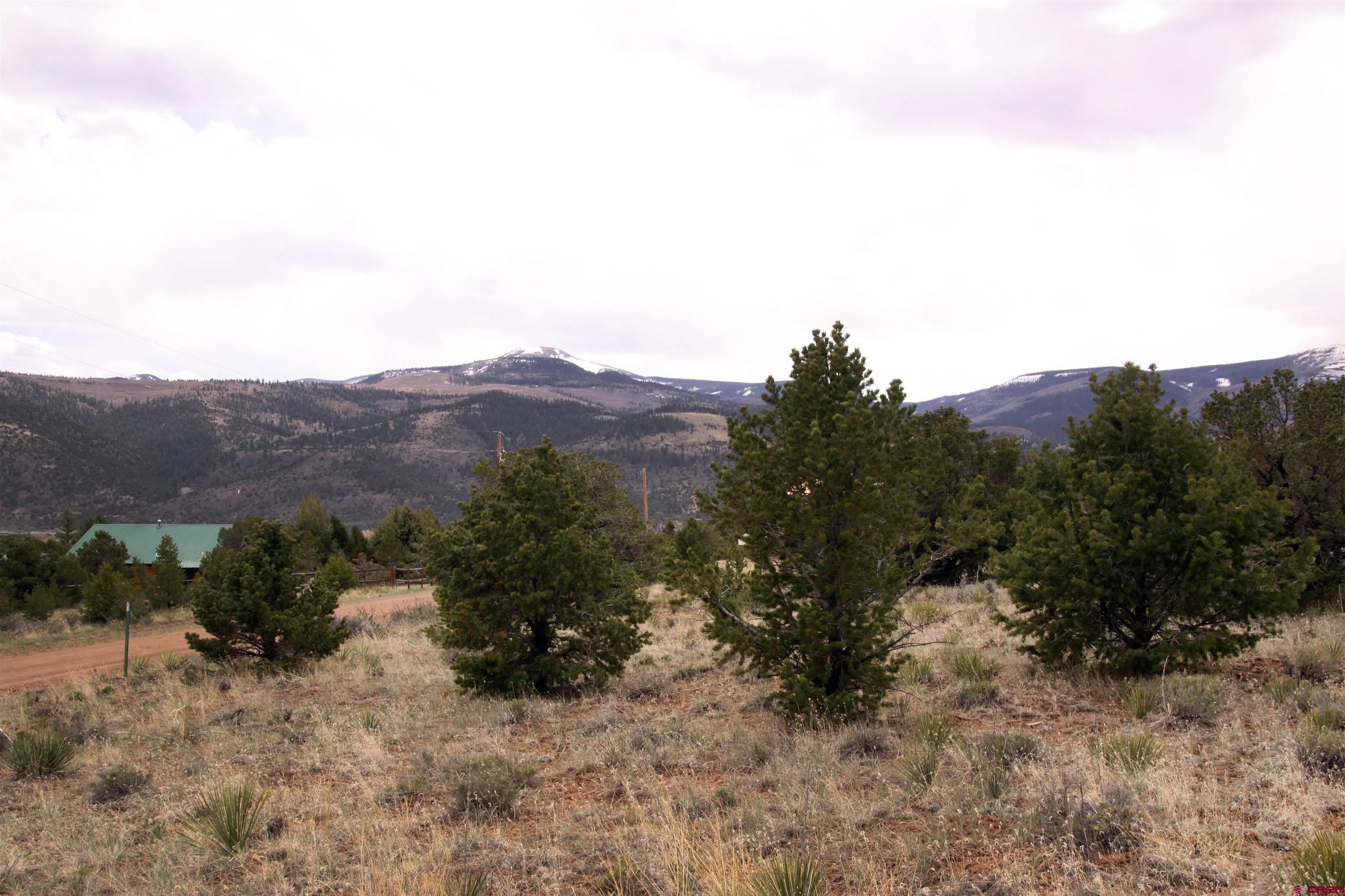877 Vail Pass Road South Fork, CO 81154 - Photo 7 of 25 a view of a dry field