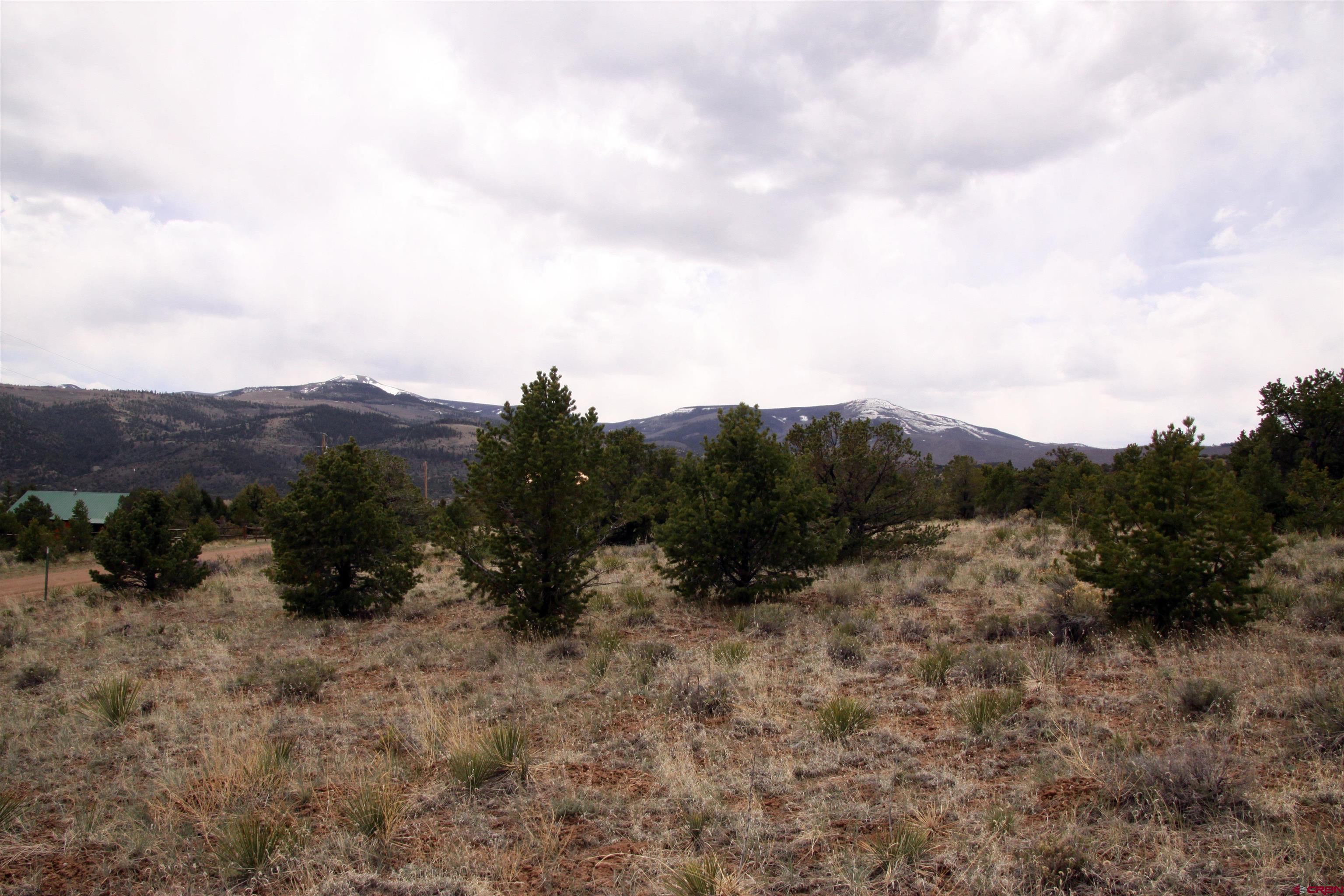 877 Vail Pass Road South Fork, CO 81154 - Photo 9 of 25 a view of a dry field