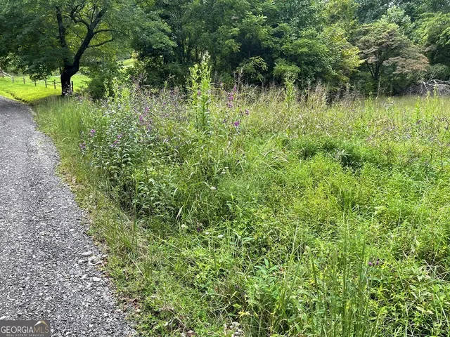 $19,900 | Lot 9 Sharons Way, Hayesville, NC 28904