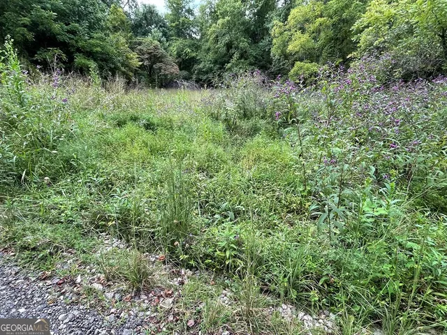 $19,900 | Lot 9 Sharons Way, Hayesville, NC 28904