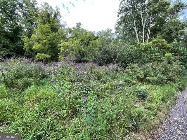 $19,900 | Lot 9 Sharons Way, Hayesville, NC 28904