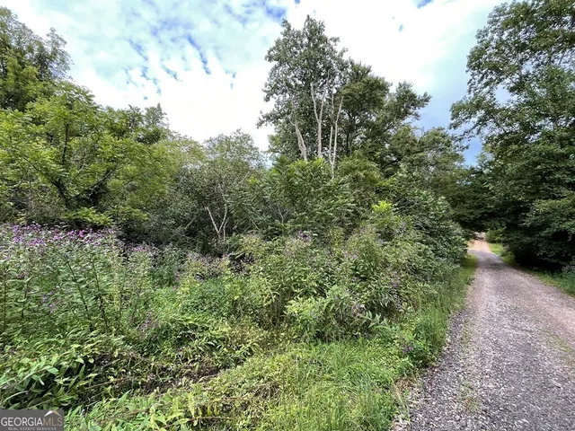 $19,900 | Lot 9 Sharons Way, Hayesville, NC 28904