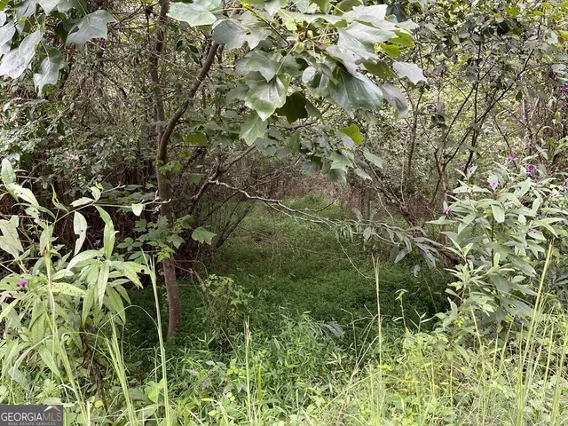 $19,900 | Lot 9 Sharons Way, Hayesville, NC 28904